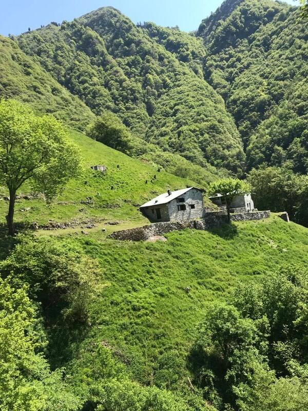 Alpe di Melano 3