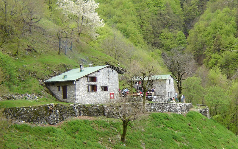 Alpe di Melano 4