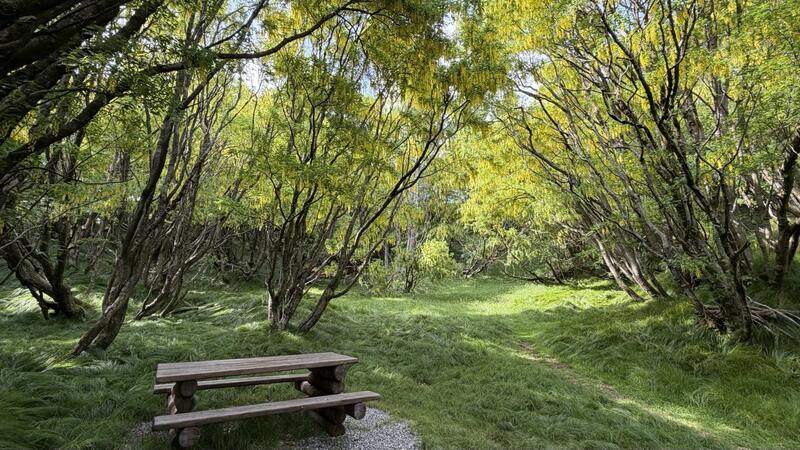 Bosco di Maggiociondoli 3