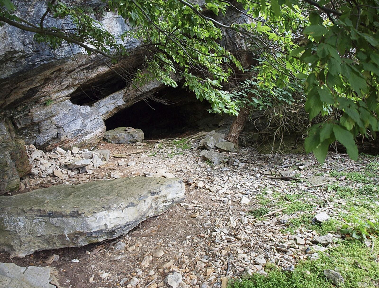 Grotte del Generoso