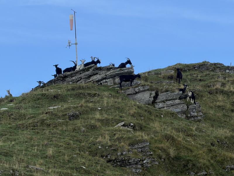 Monte Generoso 4