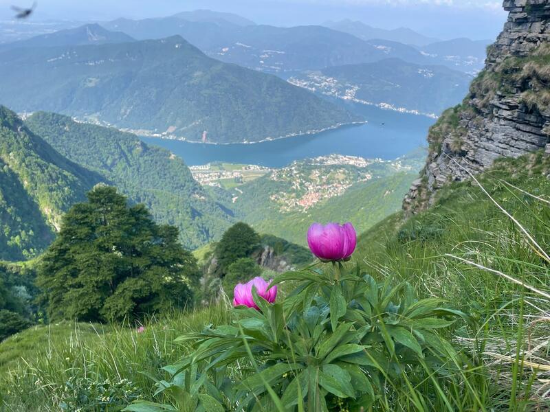 Monte Generoso 6