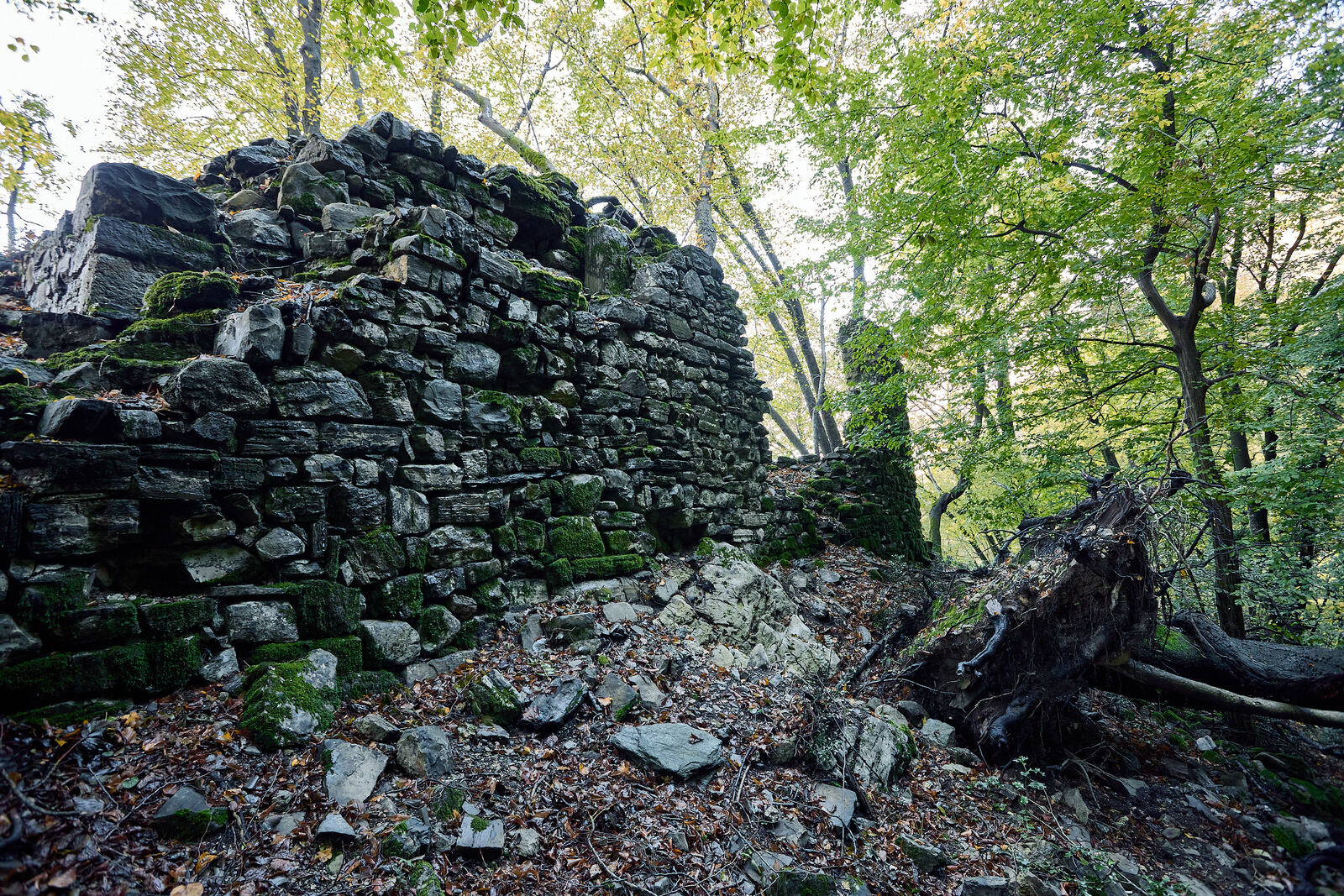 Ruderi del Castellaccio