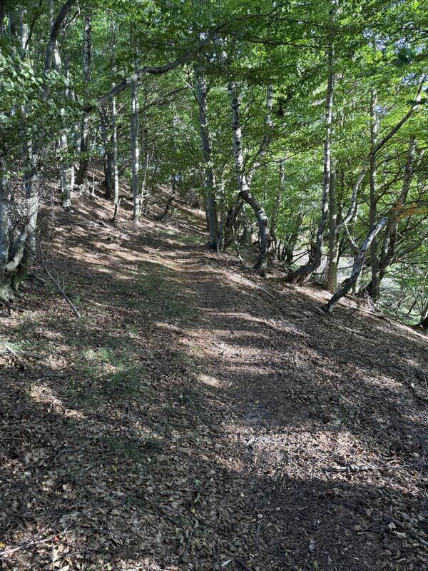 Arogno – Monte Generoso 4