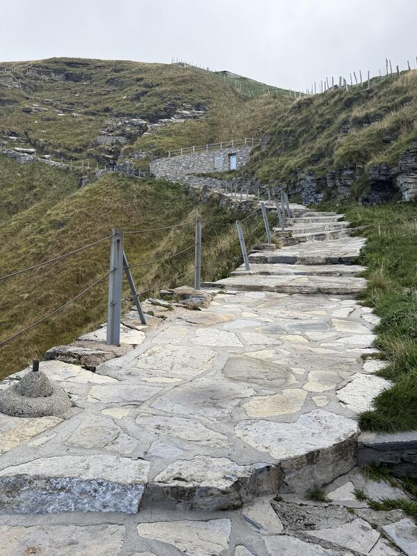 Fiore di Pietra – Vetta del Monte Generoso 3