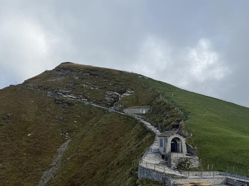 Fiore di Pietra – Vetta del Monte Generoso 6