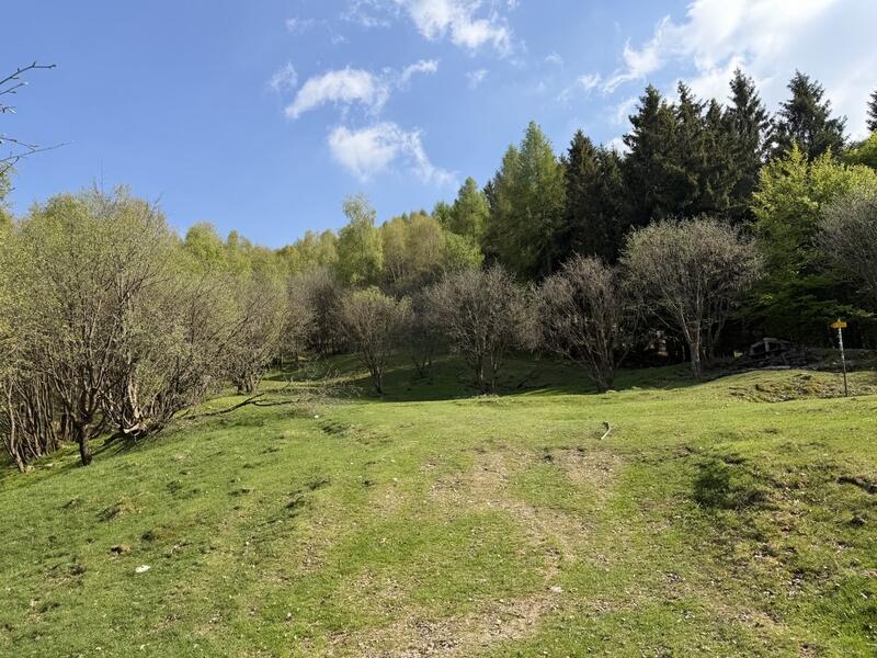 Orimento – Monte Generoso (sentiero alto) 3